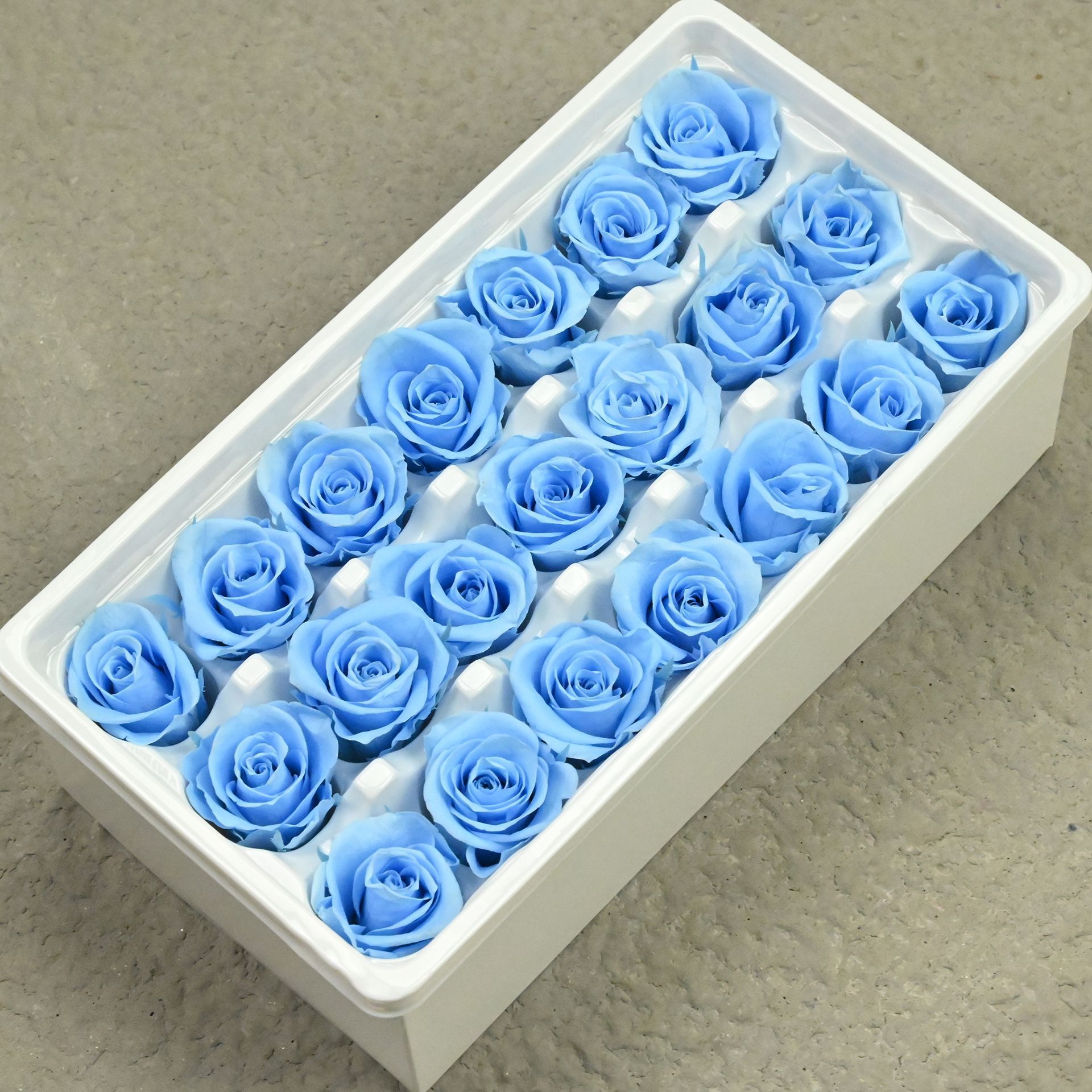 B mei 2-3 baby blue-21