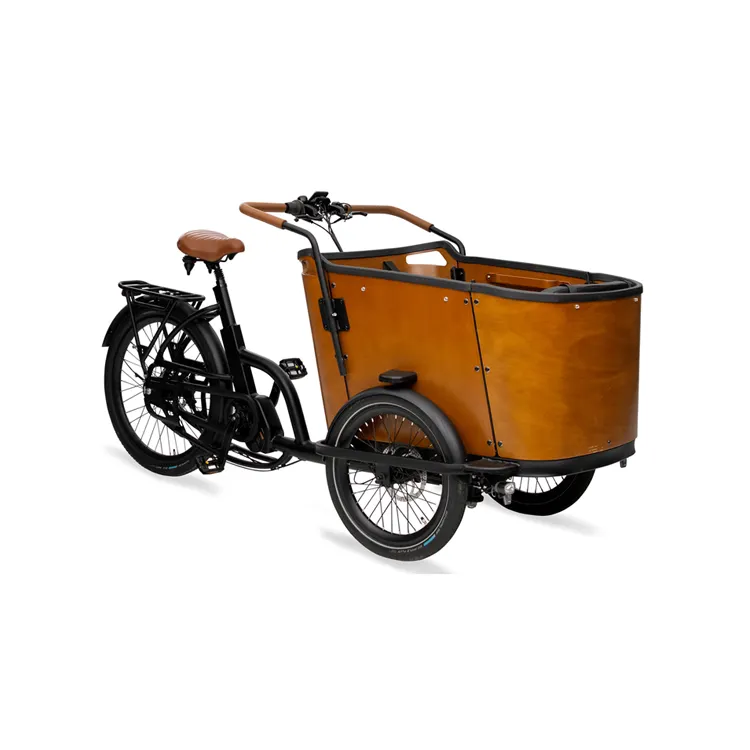 250W 48V алюминиевый сплав фронтальная загрузка светодиодный дисплей E самокат электрический трехколесный велосипед для детей 3-х колесный модная одежда для всей семьи, Электрический грузовой велосипед