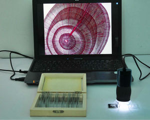 Microscopio digital de bolsillo portátil con aumento de 2.0MP 240X con función de medición para analizar células animales y vegetales, especímenes - Product Image 2