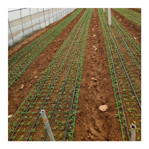 Le piante verdi di alta qualità sostengono la rete netta del traliccio del poliestere per agricoltura il fagiolo del cetriolo che coltiva la rete - Product Image 5