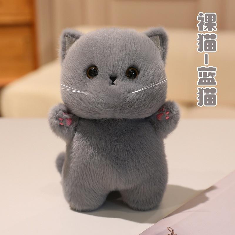 Naked cat - blue cat