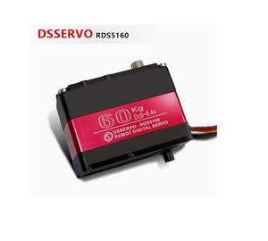 DS5160 60KG80KG150KG yüksek tork dijital Servo RC uzaktan kumanda araba robotik kol 12V Servo