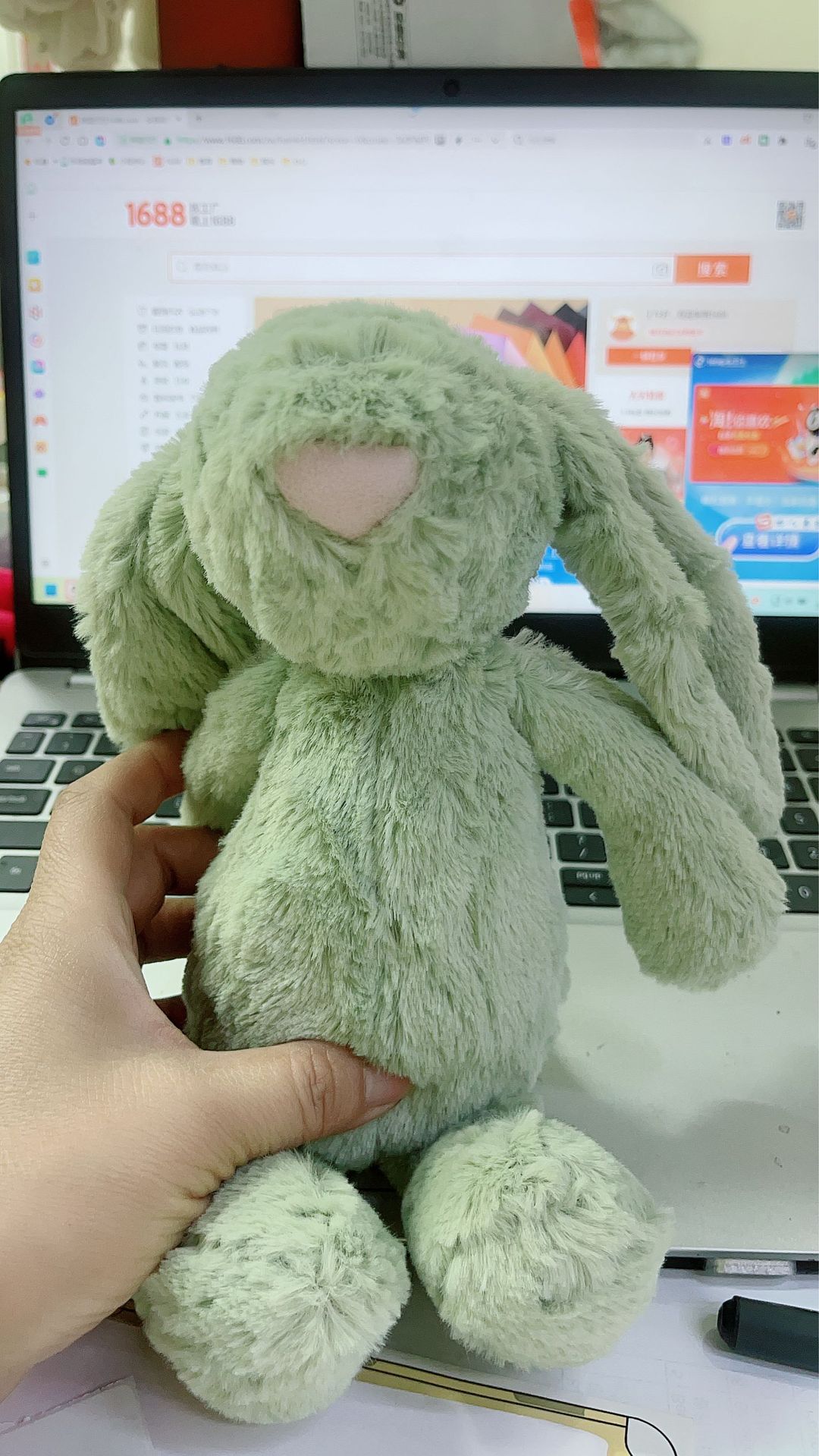Lapin vert clair