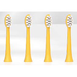 Tête de brosse orange