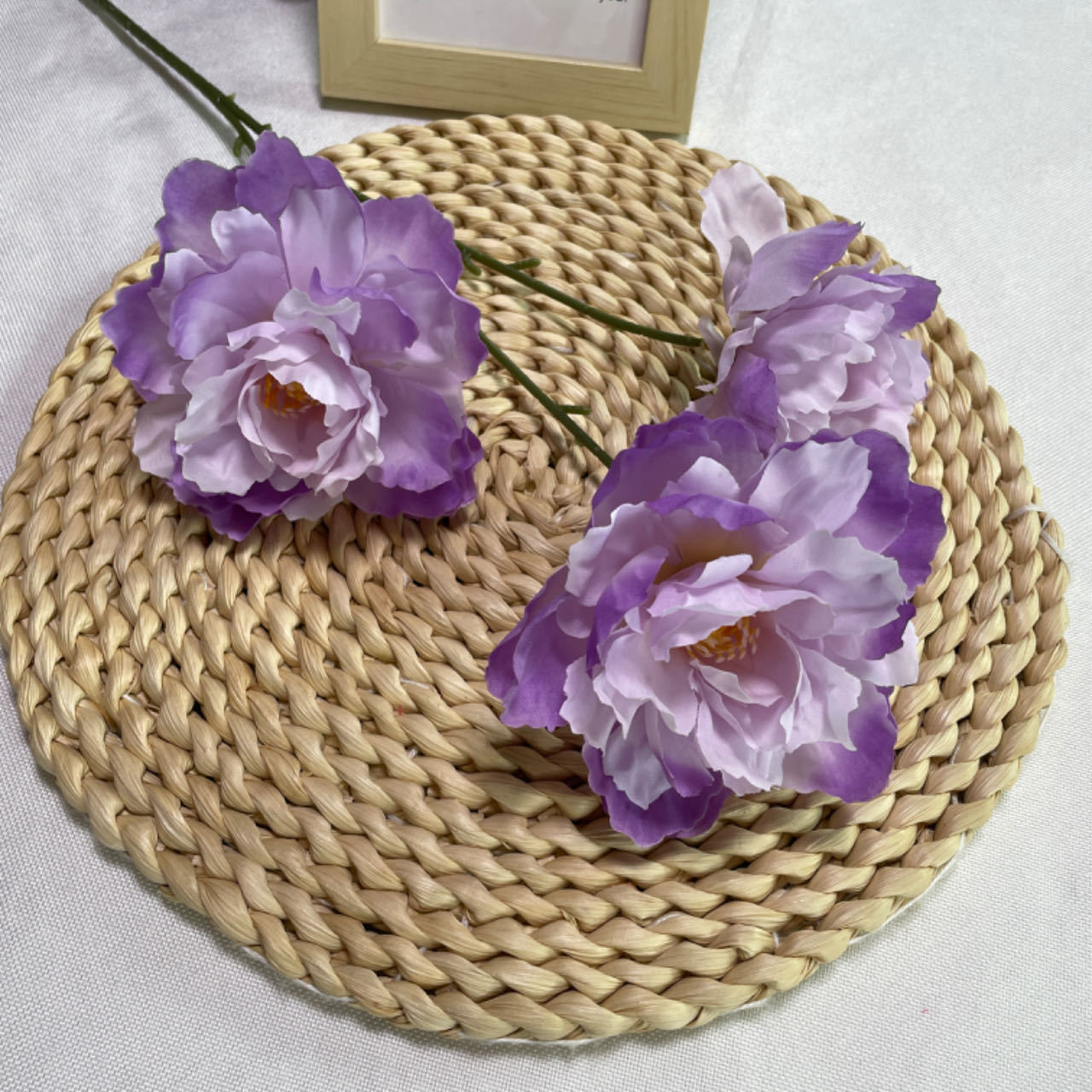 65cm(2.13ft)*23cm(0.75ft)*11cm(0.36ft)