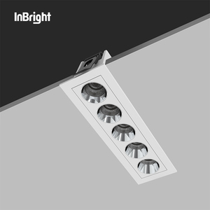 Otel gömme lineer LED ışık tavan led çift başlı led downlight 2W 4W 6W 8W 10W 18W 20W 30W IP50 SMD led downlight - Product Image 5