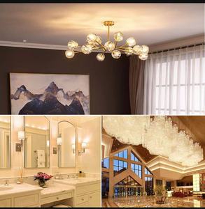 Chịu nhiệt độ 300 độ G9 lò Halogen bóng đèn nhiệt 28W 33W 40W 50W 60W 110V 230V rõ ràng thủy tinh thạch anh mờ, Hal-g9 - Product Image 5