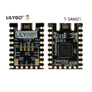Scheda di sviluppo modulo LILYGO T-SAM21 ATSAMD21 MCU per dispositivo Arduin fai da te IOT