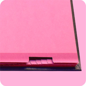 พีวีซีปกแข็งด้วยกระดาษภายในแผ่นลายเซ็นหนังสือ - Product Image 4
