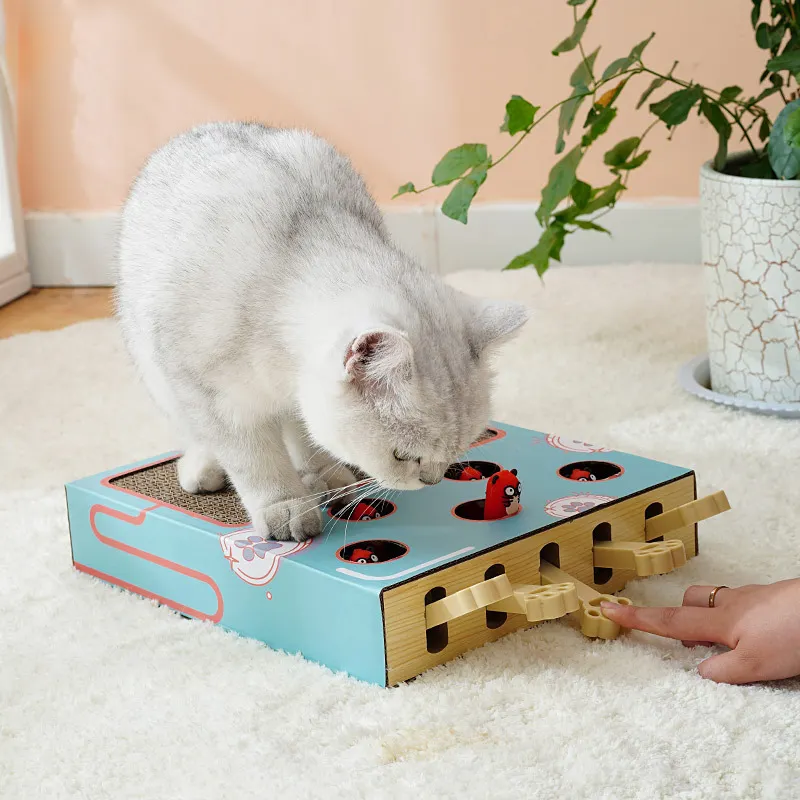 Divertente gatto in legno caccia Puzzle giocattolo labirinto Pet Hit criceto cattura morso giocattoli interattivi con fori per Mouse a 3/5 fori