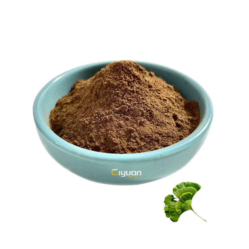 Extrait de feuille de Ginkgo Biloba en poudre, arômes 24% Lactones 6% extrait de feuille de Gingko, approvisionnement d'usine
