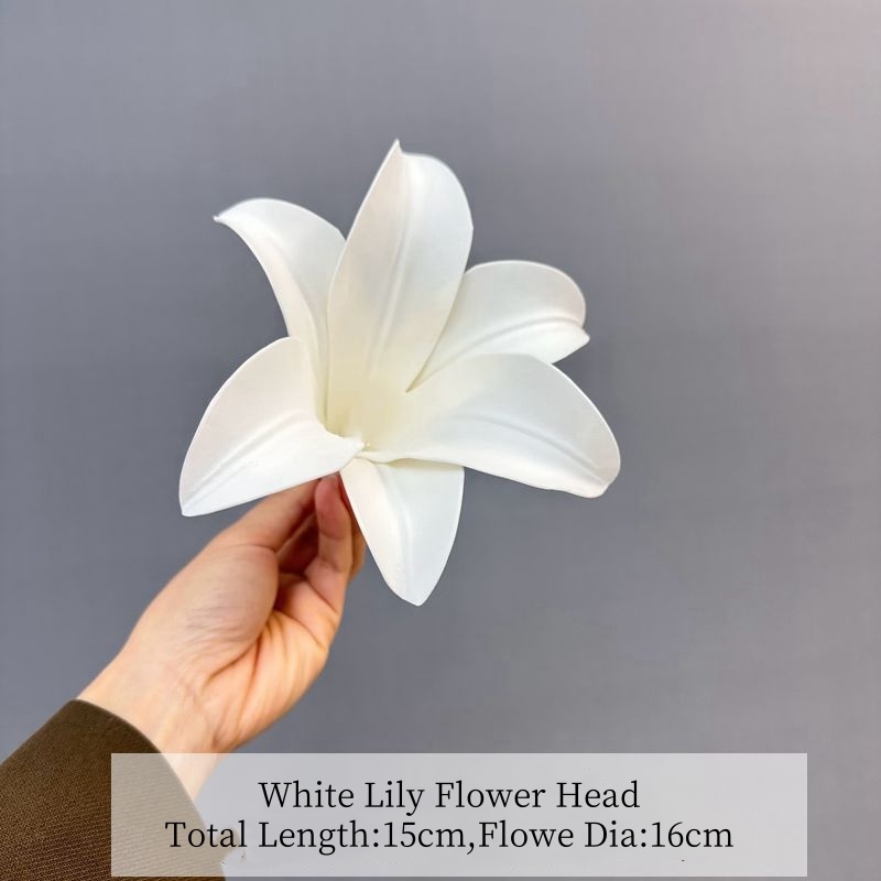 Tête de lys blanc