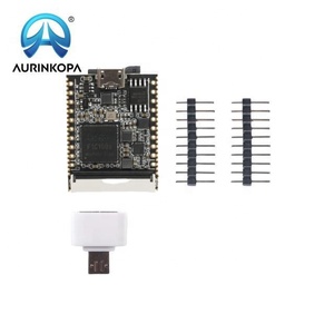 Lichee Nano Linux scheda di sviluppo F1C100s ARM9 processore 32MB DDR 16MB SPI Flash Slot TF integrato - Product Image 2