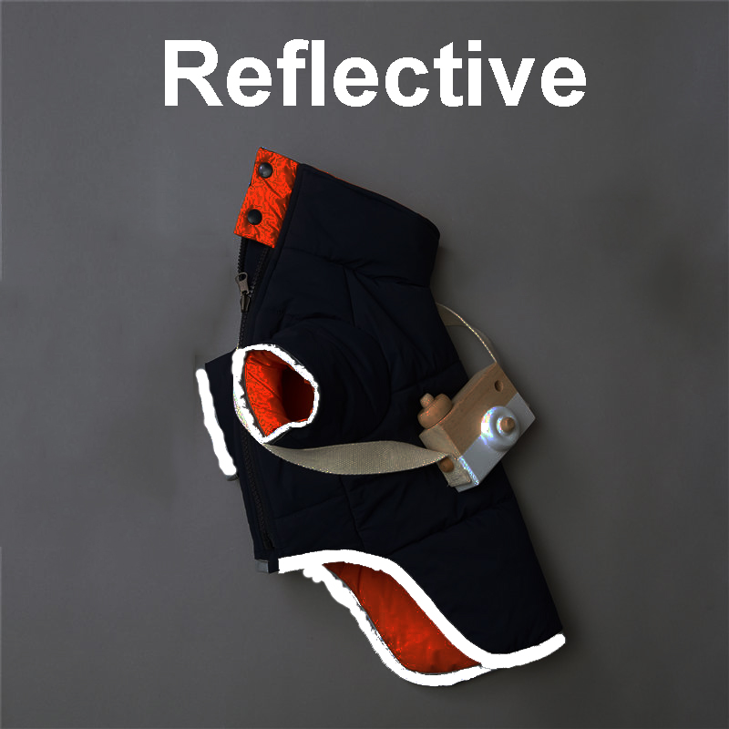 สีส้มสีดำ