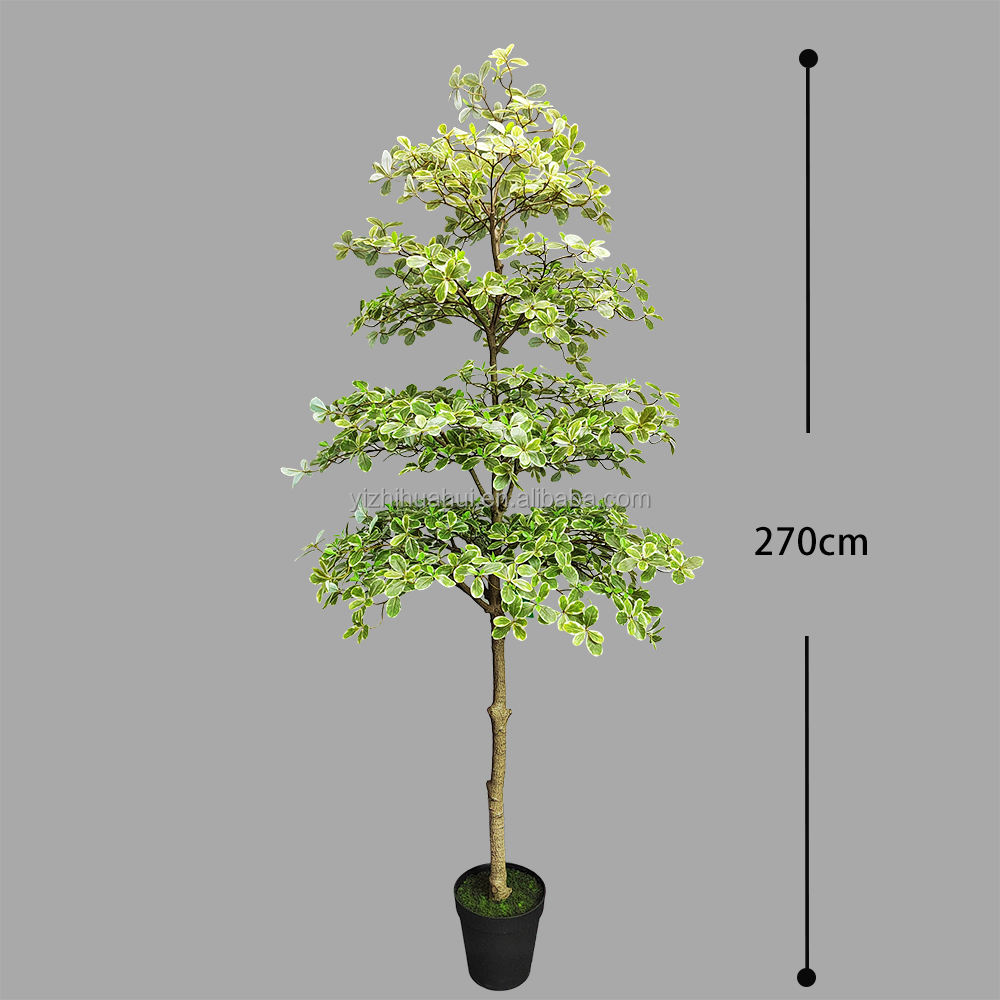 Blanc vert mangrove- 210cm