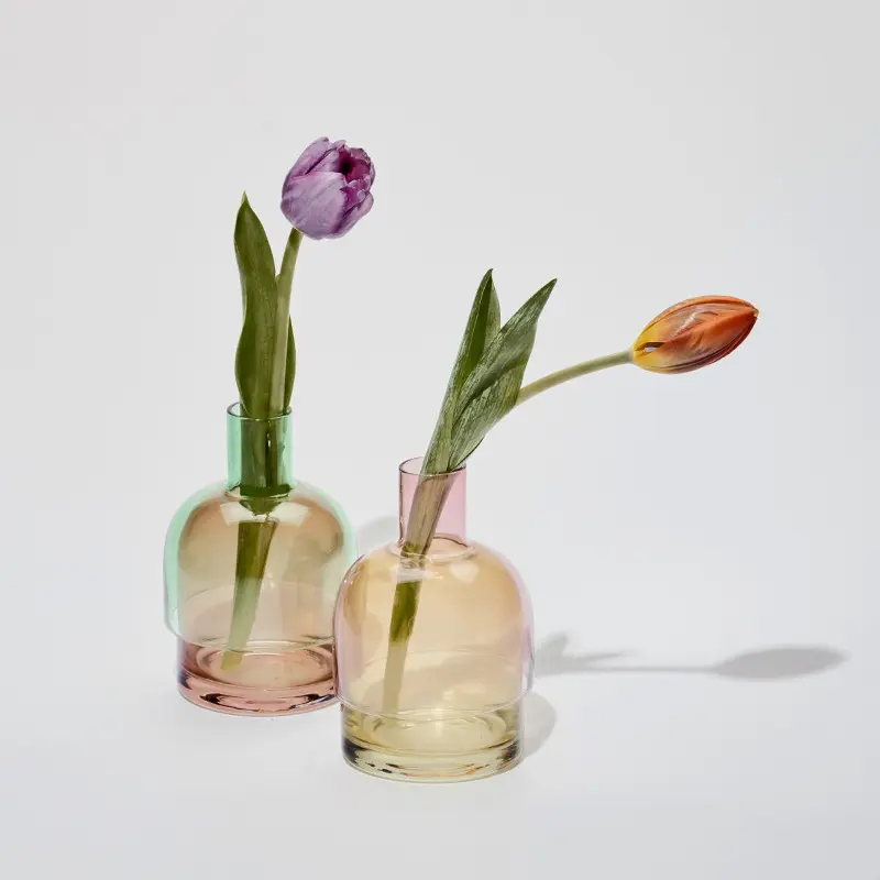 56H vaso di vetro fiore minimalista casa soggiorno floreale decorazione in vetro ornamenti idroponici