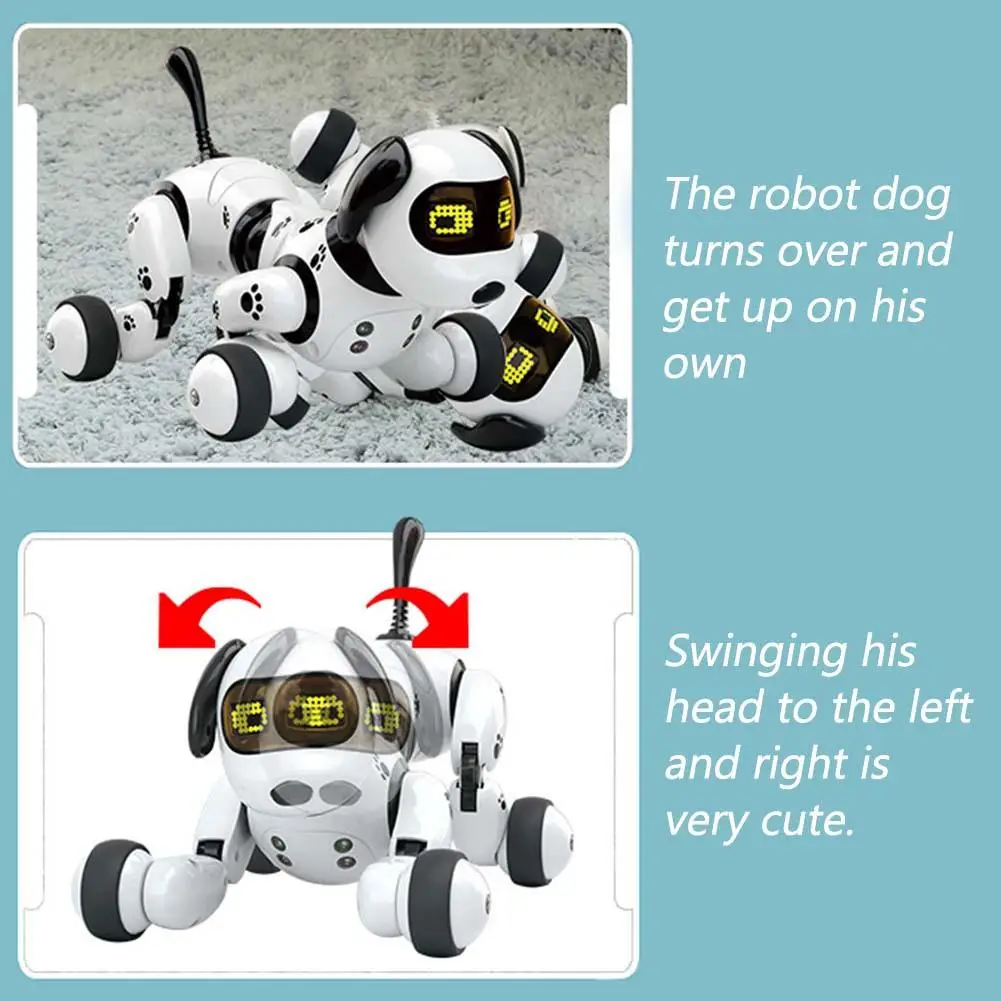  Black & White Color Electronic dog toy