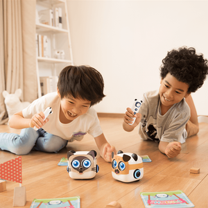 Yeni başlayanlar için 4 + erken kök eğitimi programlanabilir eğitici oyuncak çocuklar için interaktif ekransız kodlama robotu