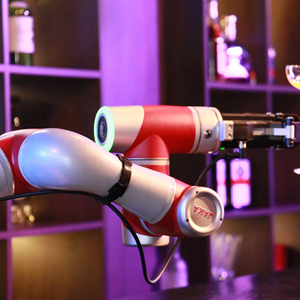 ロボットピザロボット自動アーム高速工場価格 - Product Image 2
