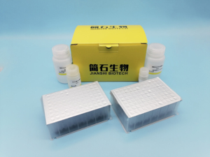 Magbead Viral DNA/RNA ชุดทดสอบการสกัดกรดนิวคลีอิกสำหรับการตรวจจับ PCR แบบเรียลไทม์ - Product Image 2