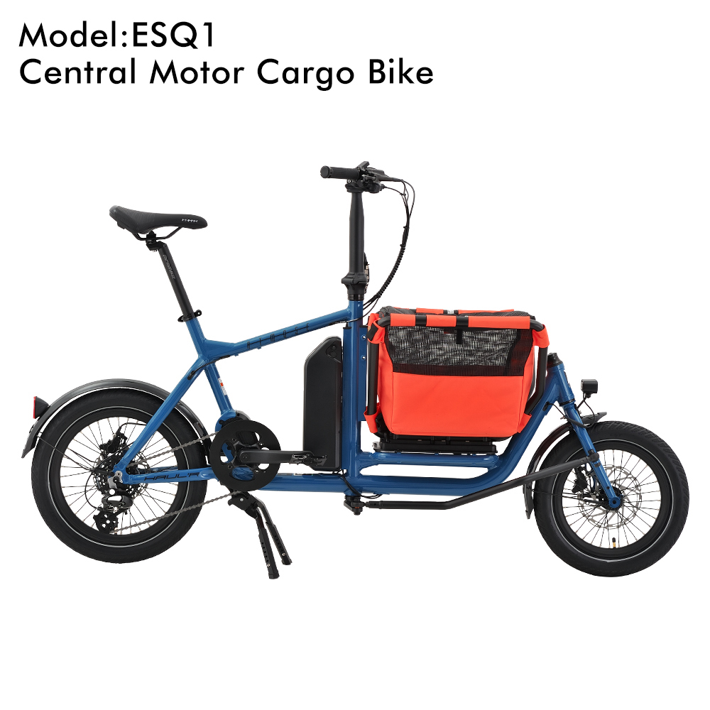 ESQ1_Bleu