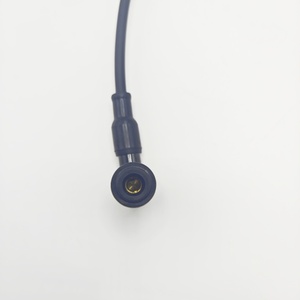 新型高性能ユニバーサル点火コイルセットParsun 2HP船外エンジンガソリン燃料タイプ - Product Image 6