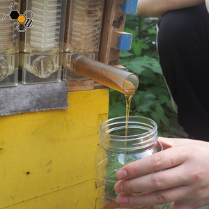 Tự Động Bằng Gỗ Dòng Chảy <span class=keywords><strong>Hive</strong></span> Nhà Nâng Cấp Tự Động Khung Lược-Tổ Ong Hộp Mật Ong Miễn Phí Thu hoạch - Product Image 4