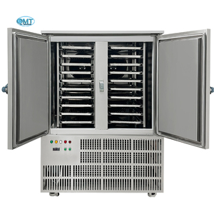 Air Cooling <strong>Blast</strong> Freezer Fast Freezing <strong>Big</strong> Refrigeration Machine 2 Door Refrigerator Chiller for Quick Freezing - Product Image 4