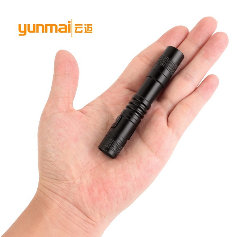 317 สั้น