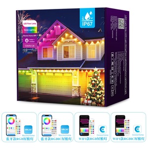 クリスマスLEDピクセルライトDC24V RGB RGBW取り外し可能なポイント光源ランドスケープビル屋外用 - Product Image 5