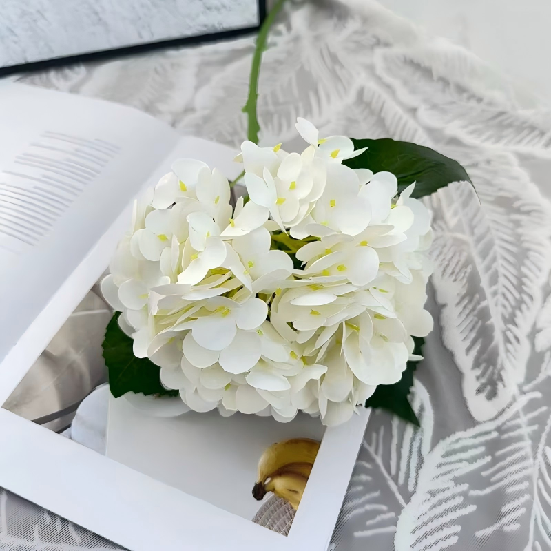 Blanc