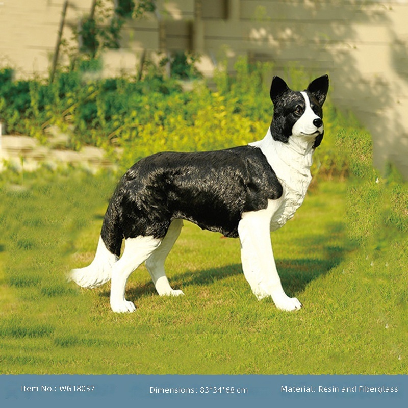 Standing collie black