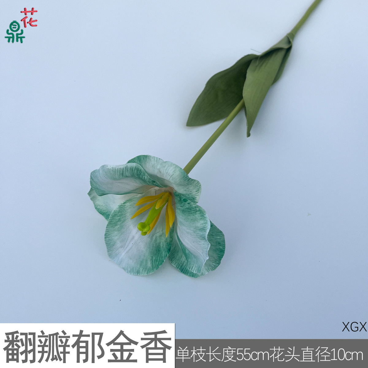 Tulips with double petals XGX Green