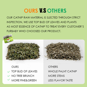 OEM ODM Custom logo Herbal Fresh <strong>Catnip</strong> Leaf in Bottle Herb Leaves Dried Cut Cat Mint <strong>Catnip</strong> for Cats - Product Image 6
