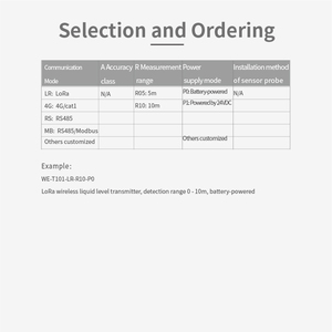 Máy phát mức thủy tĩnh có thể điều chỉnh với cảm biến giao diện hussman đa phạm vi bảo hành 1 năm - Product Image 5