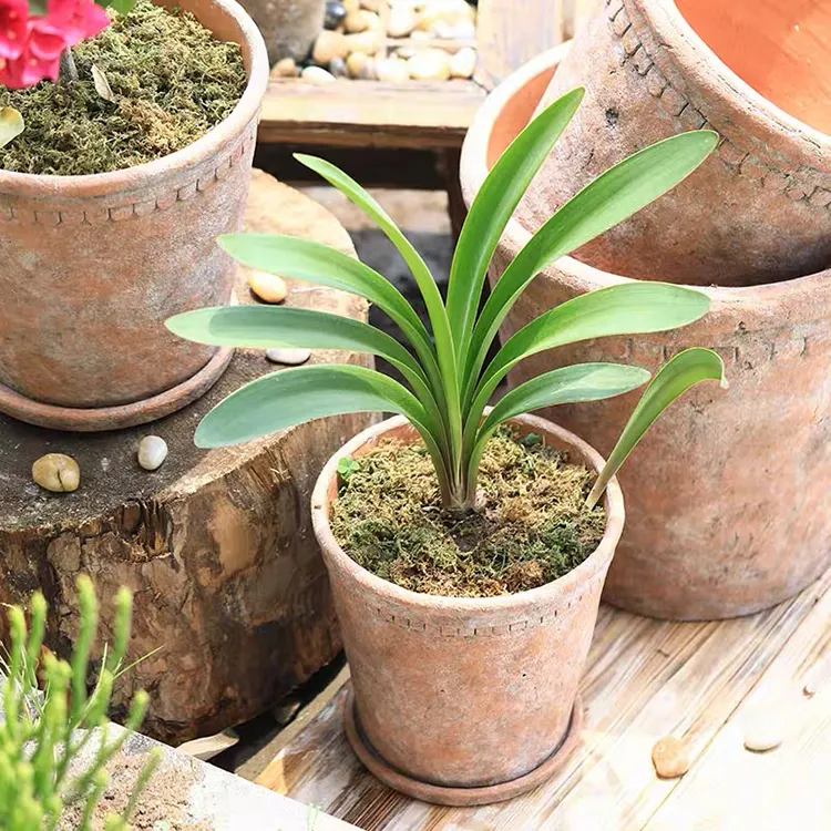 Vaso rústico natural popular, tamanho personalizado, uso ao ar livre, berçário, vasos verdes, potes de jardim para plantas