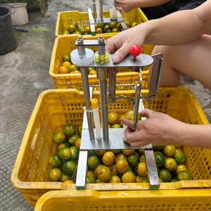 2025 <span class=keywords><strong>High</strong></span> <span class=keywords><strong>Output</strong></span> Profissão Manual Fresco Amarelo Laranja Peeling Máquina Pequena Tangerina Azul Três Cravos Equipamento De Corte