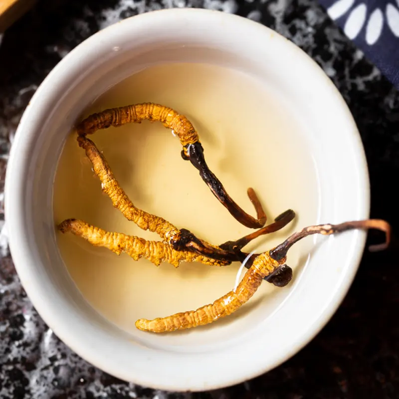 Cordyceps sinensis Extrakt aus Tibet Kapsel Ernährungsergänzungsmittel