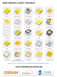 <strong>LED</strong> COB Lamp <strong>Chip</strong> 1W 3W <strong>3</strong>.2-<strong>3</strong>.6V Input 100-220LM Mini <strong>LED</strong> Bulb Diode SMD for DIY <strong>LED</strong> Floodlight Spotlight Downlight - Product Image 5