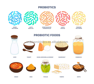 ST67 Probiotic Streptococcus Thermophilus Optimal Health Yogurt Supplement - Product Image 3