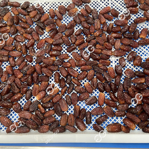 Date di lavorazione per uso alimentare per il lavaggio della macchina per lo smistamento del trasportatore date per il riempimento della macchina per la pulizia e lo smistamento - Product Image 6
