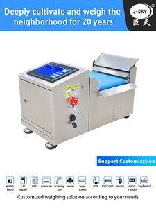 J-sky Non standard su misura di alta precisione a destra e sinistra scala di smistamento piccola pesatura automatizzata macchina di ispezione del peso - Product Image 2