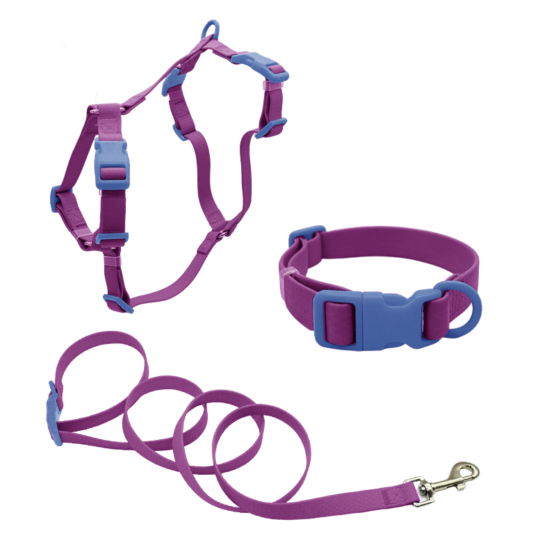 Purple+blue