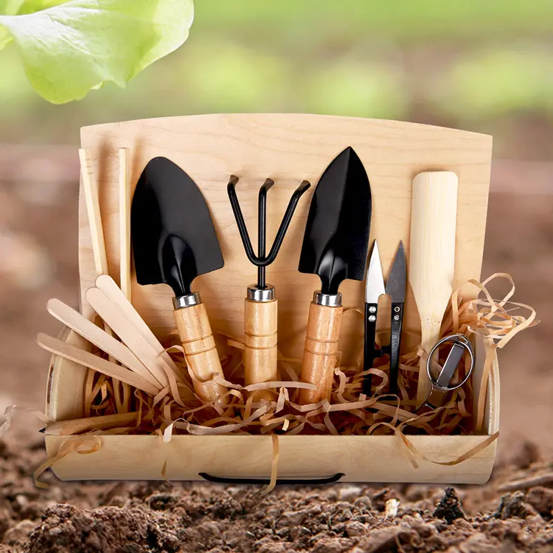 Gros fer manche en bois fleur maison plantes en pot ensemble jardinage combinaison ensemble d'outils