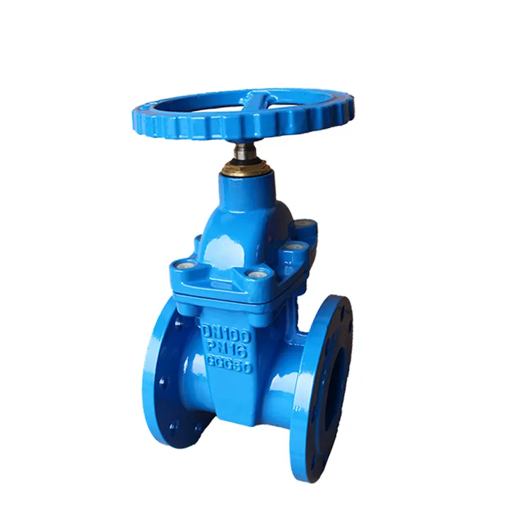 China wholesale most popular Cast iron gate valve standard soft seal PN16 flange gate valve