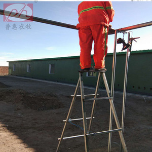 New PH Simple Automatic Pig Feeding System <strong>Chain</strong> Disc Drive <strong>Host</strong> for Animal Husbandry Equipment - Product Image 4