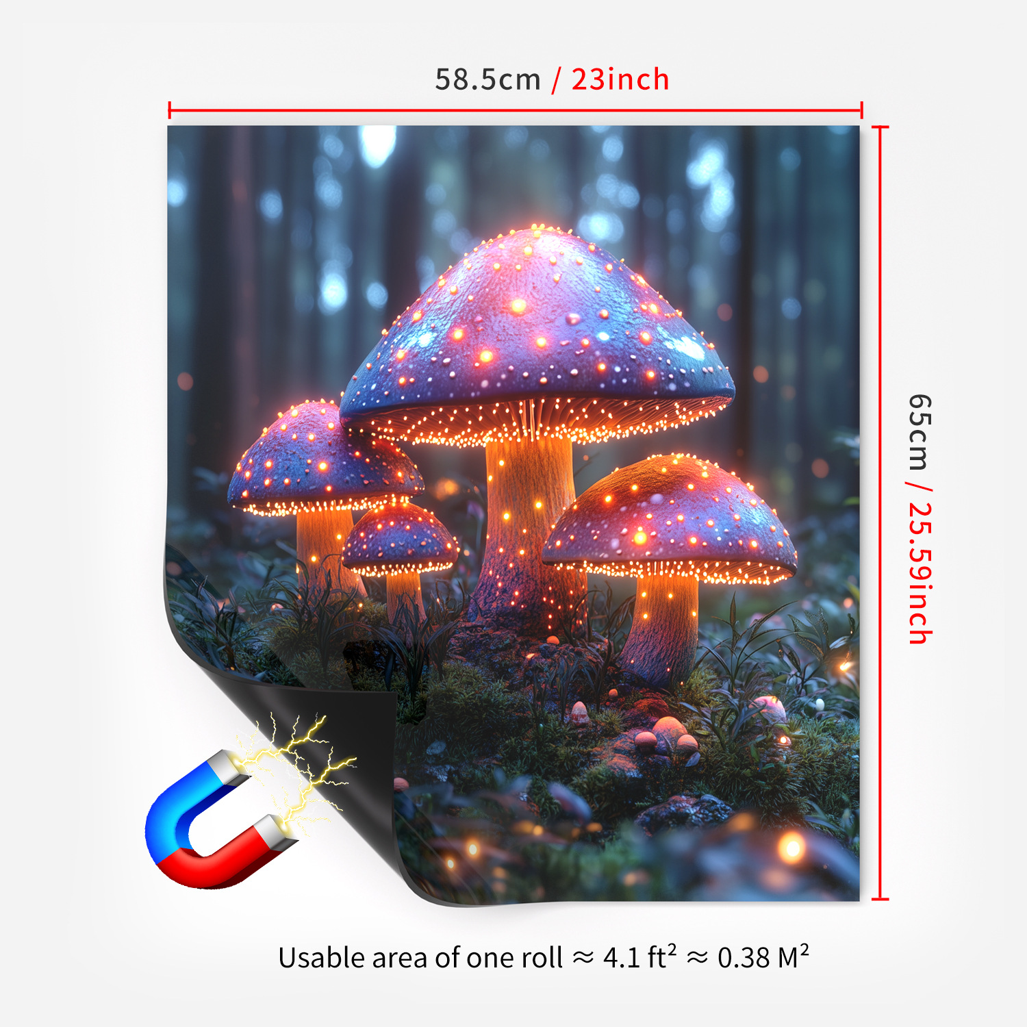 D -- 65x58.5CM