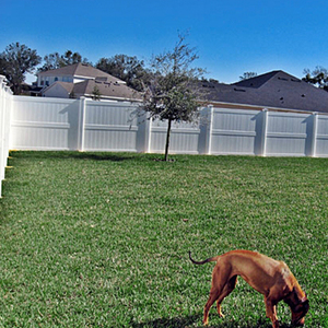 Bảng điều khiển hàng rào <span class=keywords><strong>PVC</strong></span> Trắng 8ft cho tài sản cho thuê-Nâng cấp bảo trì thấp bền với bài viết 6ft - Product Image 6