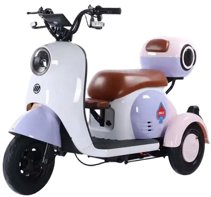 Vendita calda di alta qualità nuovo modello 2 posti triciclo elettrico 3 ruote Scooter elettrico per adulti triciclo