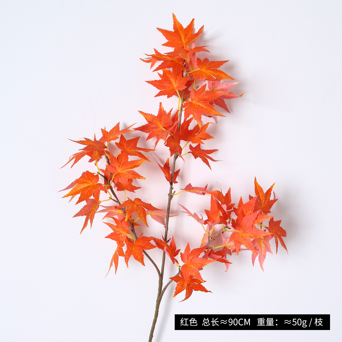 Red maple leaf